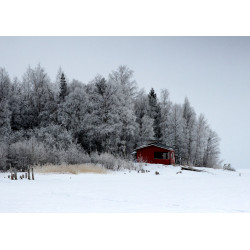 Punainen tupa metsässä - Syötävä kakkukuva kakkuun