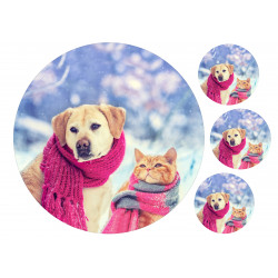 Dog and Cat with scarves - edible cake topper