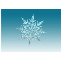 Snowflake closeup - edible cake topper