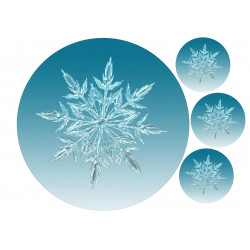 Snowflake closeup - edible cake topper