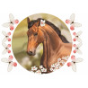 A Beautiful Brown Horse - Edible cake topper