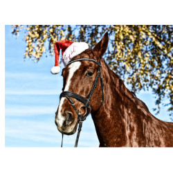 A Christmas horse - Edible cake topper