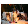 Party animals - Celebrating dogs - Edible cake topper