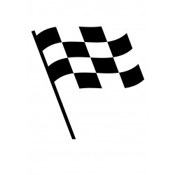 Checkered flag - edible cake topper