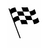 Checkered flag - edible cake topper