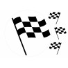 Checkered flag - edible cake topper