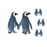 Illustrated penguins - Edible cake topper