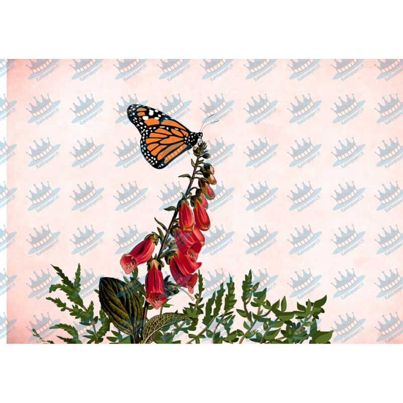 Small tortoiseshell on a plant - Edible cake topper