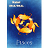 Star sign: Pisces - Edible cake topper