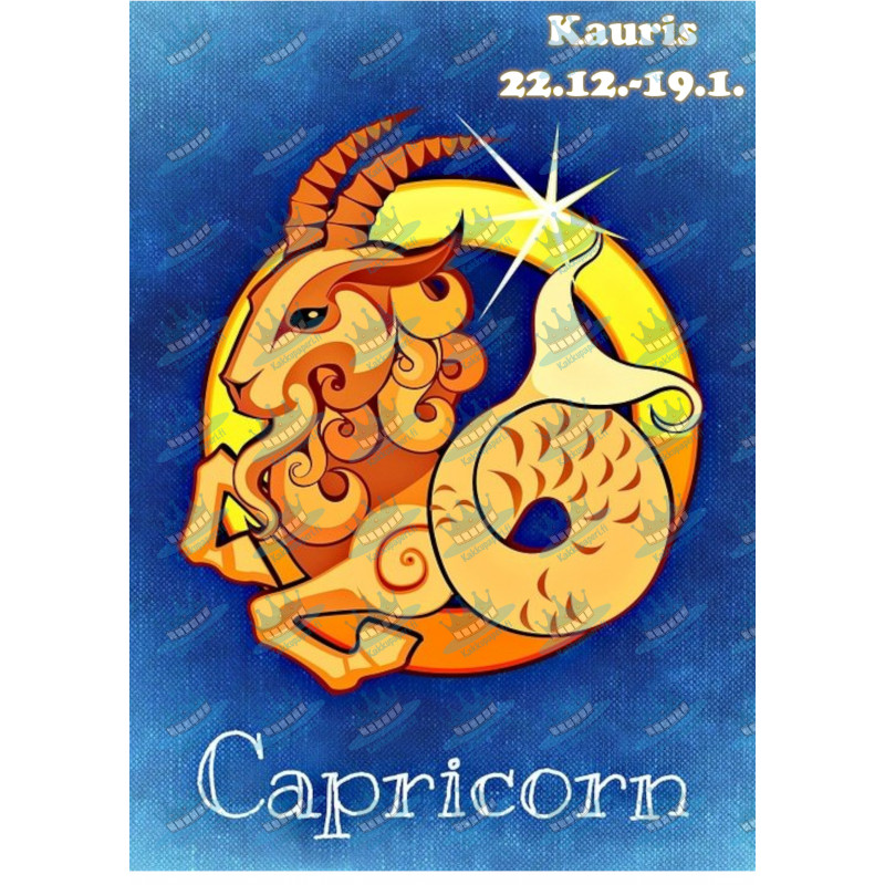 Star sign: Capricorn - Edible cake topper