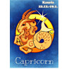 Star sign: Capricorn - Edible cake topper