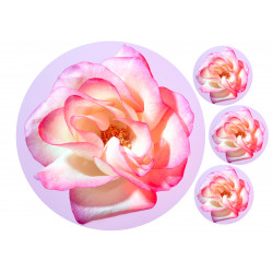 A pink rose for you - Edible cake topper