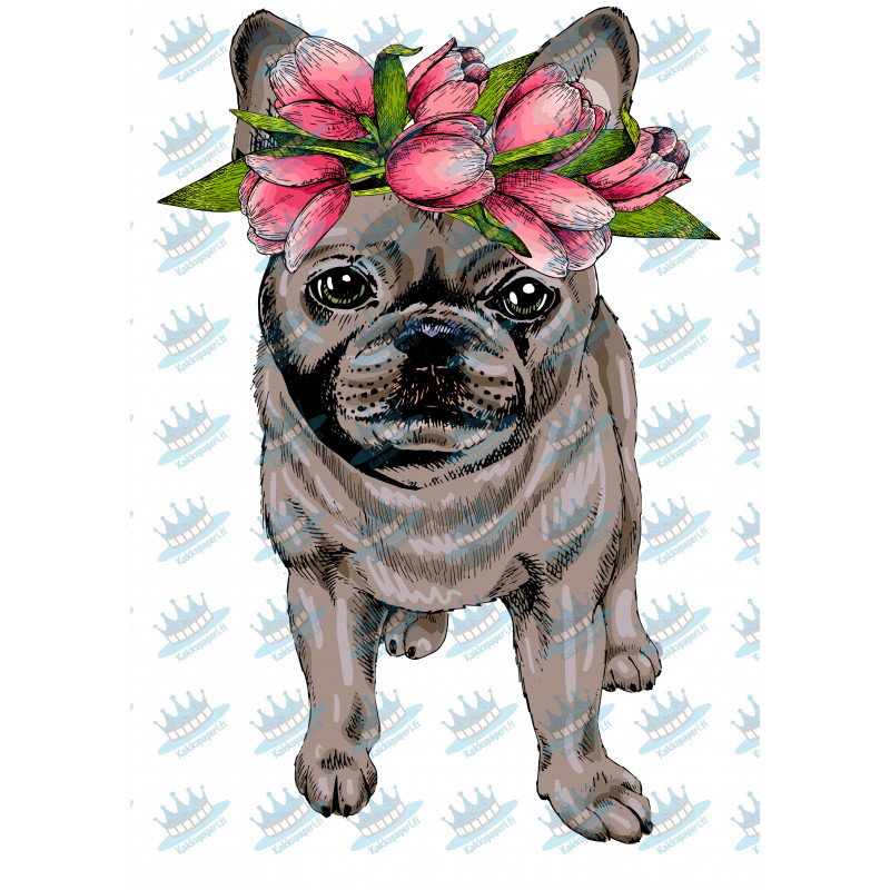 Illustrated French Bulldog - Edible cake topper