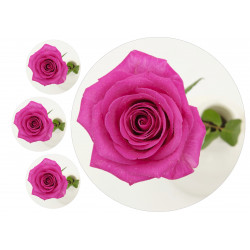 Mother's Day rose - Edible cake topper