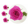 Mother's Day rose - Edible cake topper