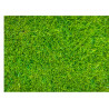 Edible grass pattern rectangle