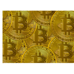 Golden Bitcoin rectangle-cake topping