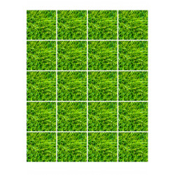 Grass pattern - Edible muffin topper