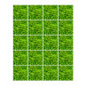 Grass pattern - Edible muffin topper