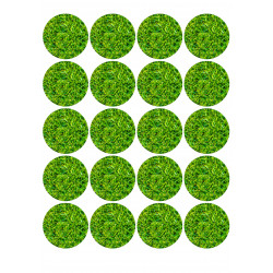 Grass pattern - Edible muffin topper