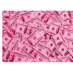 Pink Dollars - rectangle edible cake decoration