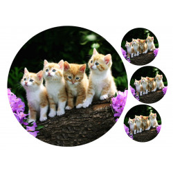 Kittens - Edible cake topper