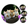 Kittens - Edible cake topper