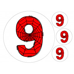 Spider web number nine - edible cake decoration