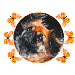 Dog - Pekingese - Edible cake topper