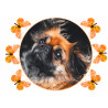 Dog - Pekingese - Edible cake topper