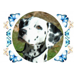 Koira - dalmatiankoira kakkukuva - Syötävä kakkukuva kakkuun