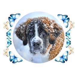 Dog - St. Bernard - Edible cake topper