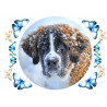 Dog - St. Bernard - Edible cake topper