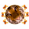 Tiger - Edible cake topper