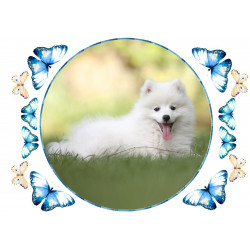 Dog - Samoyed - Edible cake topper