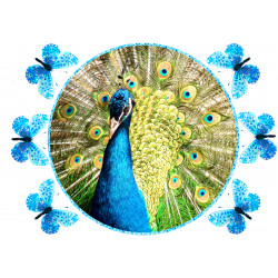 Peacock - Edible cake topper