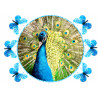 Peacock - Edible cake topper