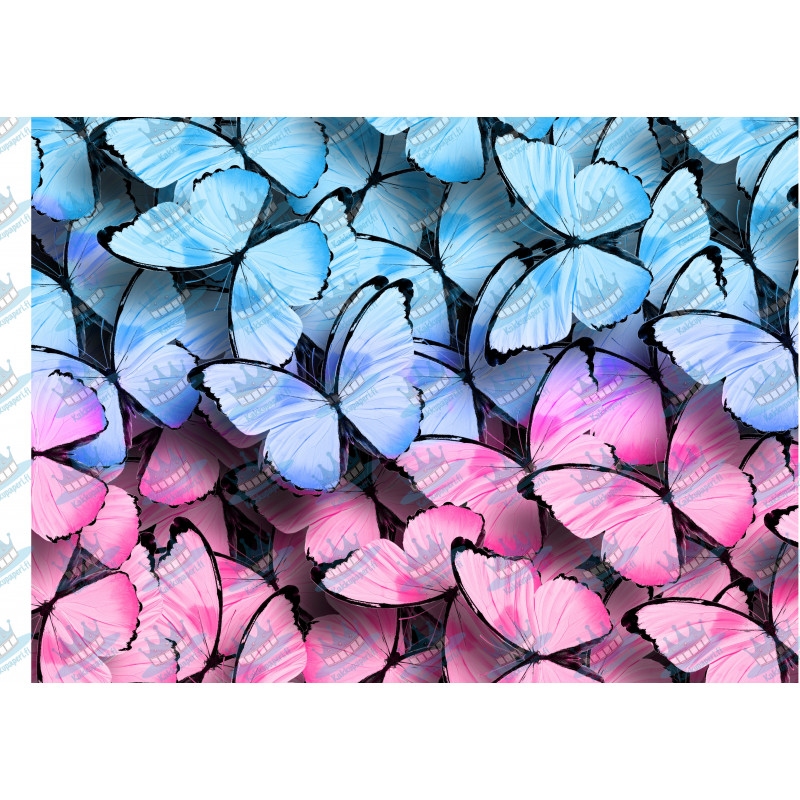 Blue and pink butterflies - edible cake topper