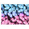 Blue and pink butterflies - edible cake topper