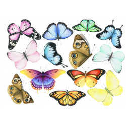 Colorful Butterflies - Edible cutouts