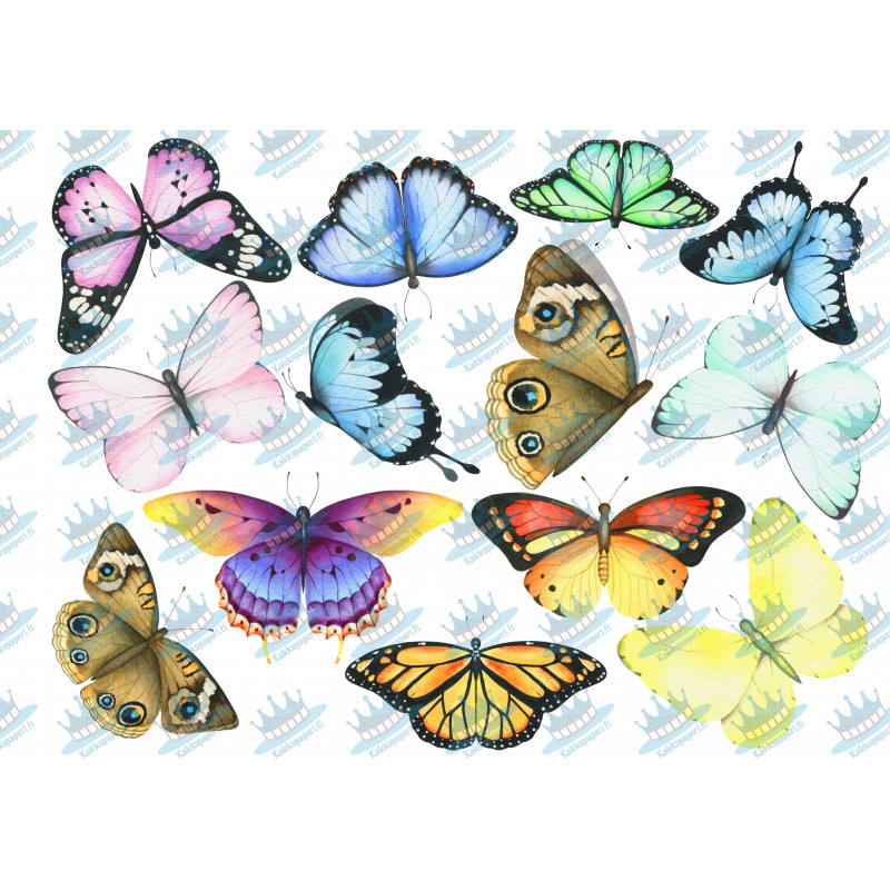 Colorful Butterflies - Edible cutouts