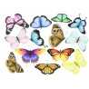 Colorful Butterflies - Edible cutouts