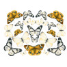 Golden, gray and white Butterflies - Edible cutouts