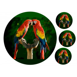 Parrots - Edible cake topper